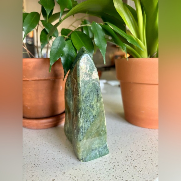 Nephrite Jade Freeform - Picture 7 of 8